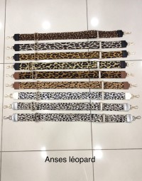 Anses-leopard