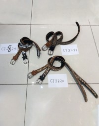 CT2720 2721 2825