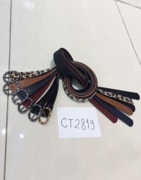 CT2819