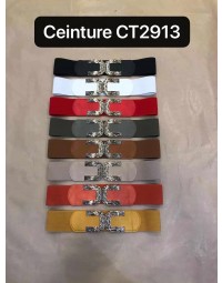 CT2913