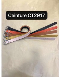 CT2917