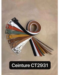 CT2931