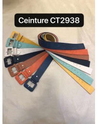 CT2938