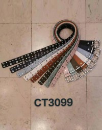 CT3099