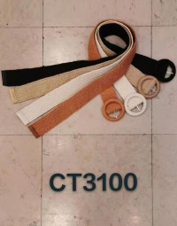 CT3100