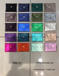 PM01
