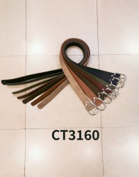 CT3160